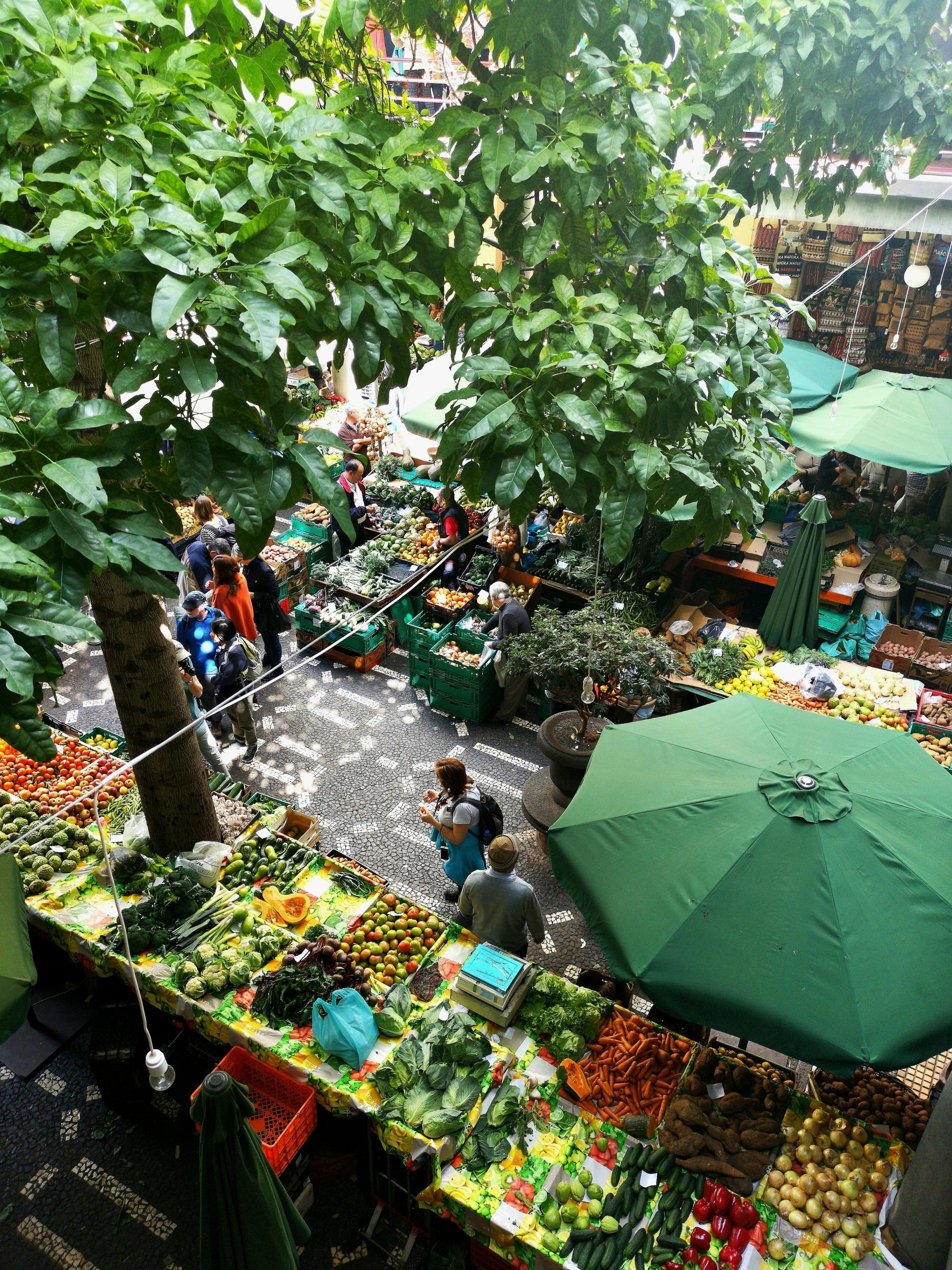 Belebter Markt mit Verkaufsständen unter Bäumen